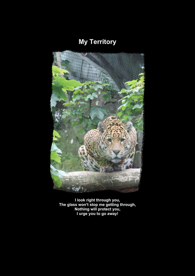 My Territory-1